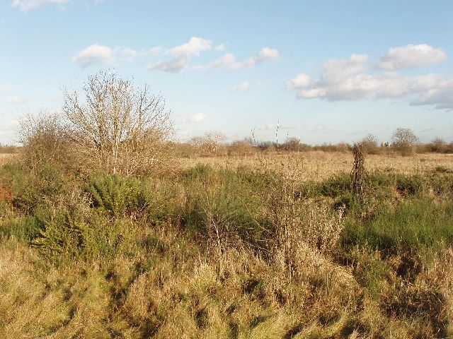 File:Hounslow Heath - geograph.org.uk - 108662.jpg