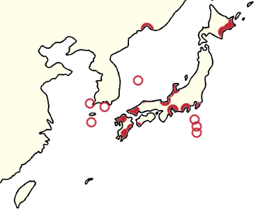 File:Japanese murrelet distribution map.png