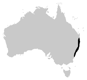 File:Litoria Tyleri range.PNG