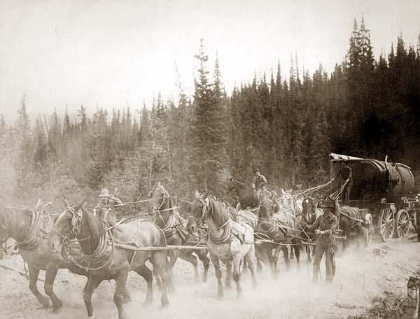 File:Overland Trail horse team.jpg