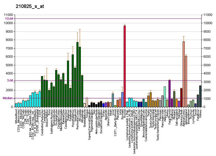 File:PBB GE PEBP1 210825 s at fs.png