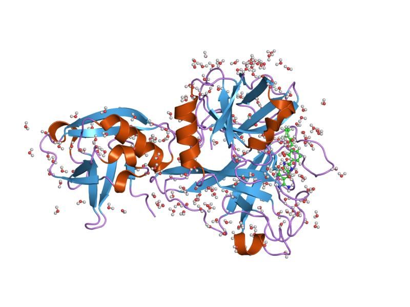 File:PDB 1o5f EBI.jpg