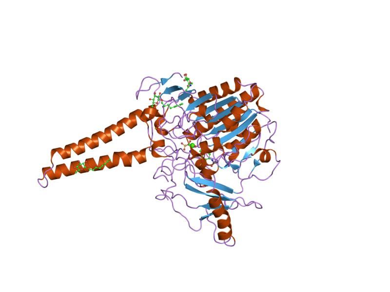 File:PDB 1p49 EBI.jpg