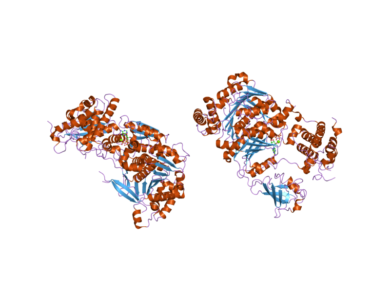 File:PDB 1y8q EBI.png