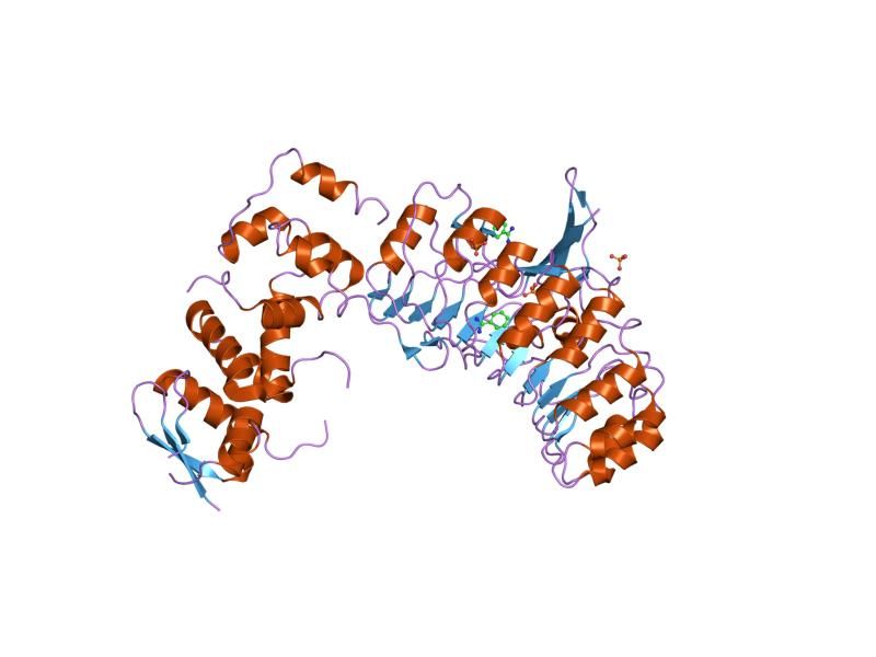 File:PDB 2ass EBI.jpg