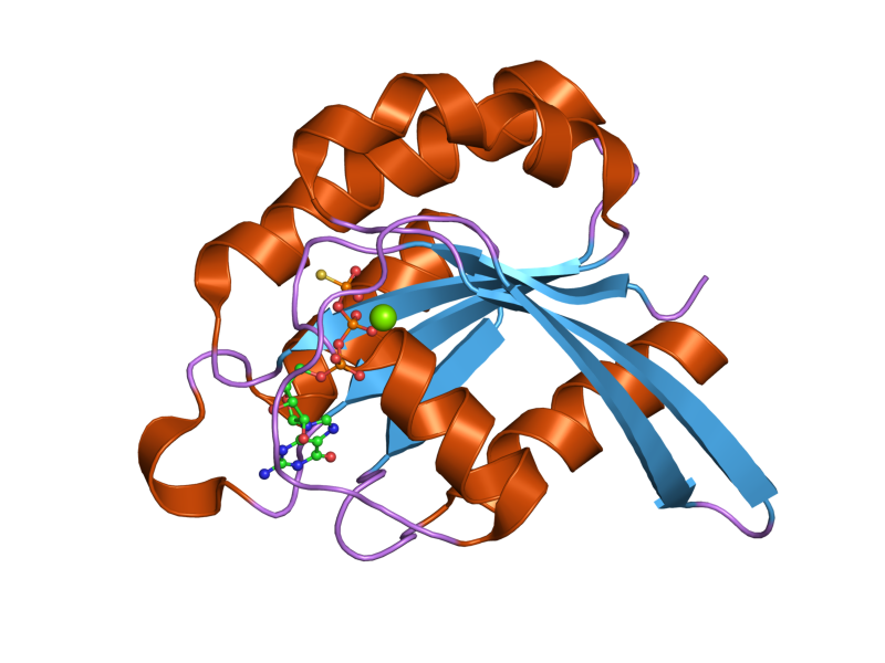 File:PDB 2ffq EBI.png