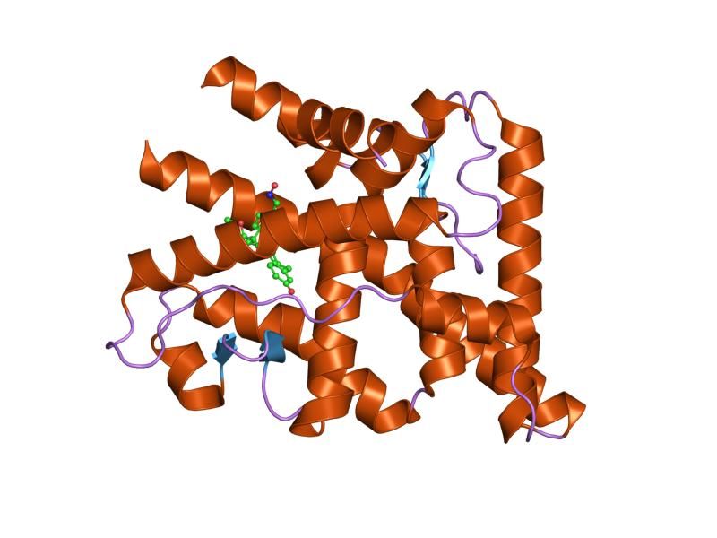 File:PDB 2ovh EBI.jpg