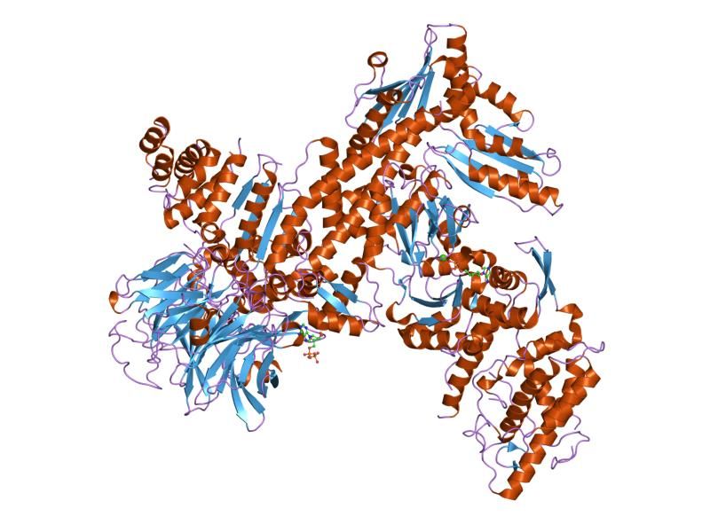 File:PDB 2p9n EBI.jpg