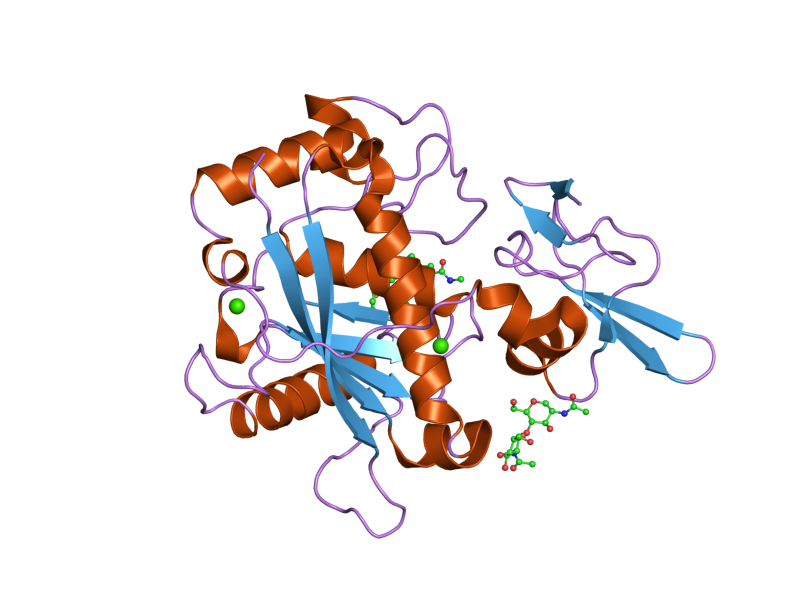 File:PDB 2rjq EBI.png