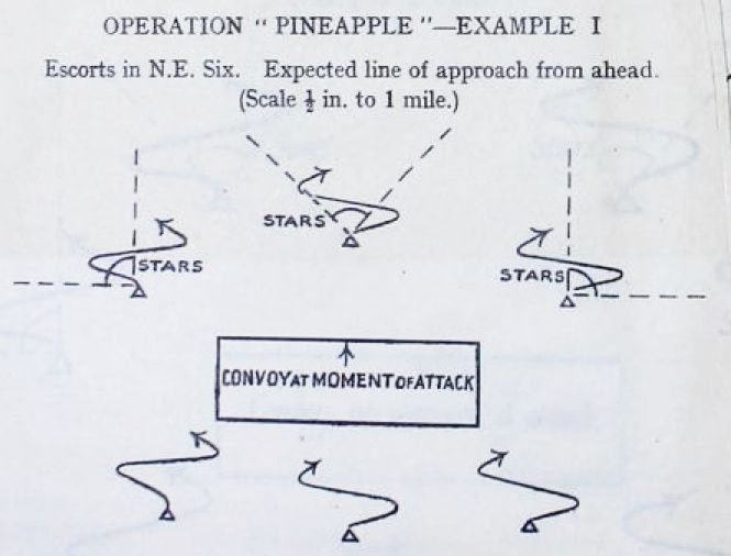 File:Pineapple (NE Six).jpg