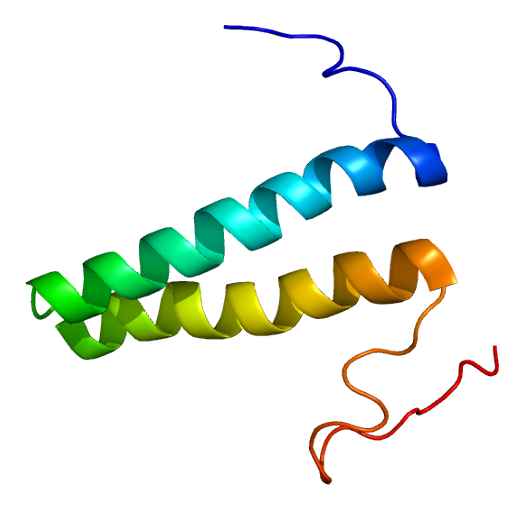 File:Protein MARS PDB 2djv.png