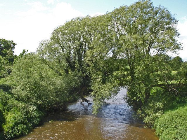 File:River Dane - geograph.org.uk - 447274.jpg