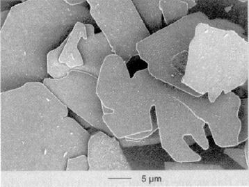 File:SEM of coated alumina flake.JPG