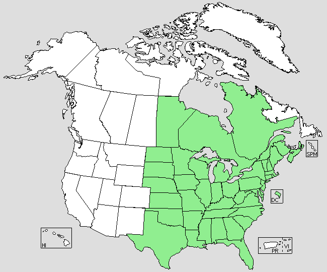 File:Sanguinaria canadensis range map.png