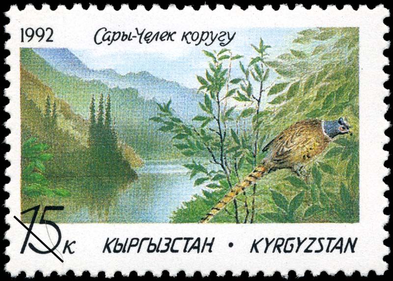 File:Stamp Kyrgyzstan 1992 15k.jpg