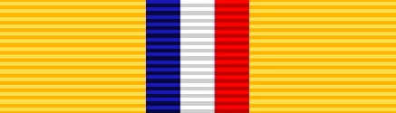 File:USA - TX State Guard Service Ribbon.png