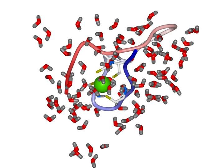 File:Zinc interaction Cysteine.jpg