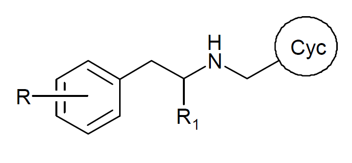 File:25-NB-structure-general.png