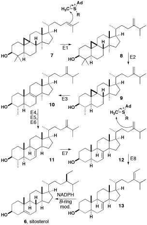 File:Biosynthsitosterol.png