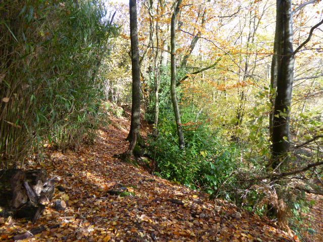 File:Brook Brick Pit 2.jpg