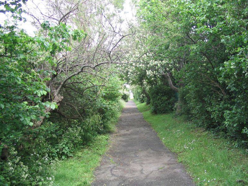 File:Hilsea Lines path.jpg