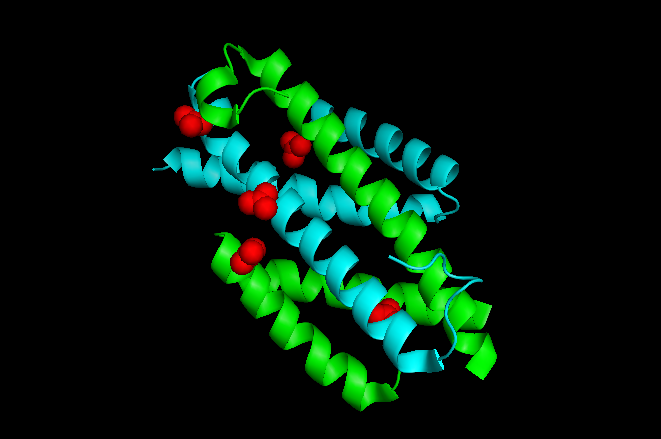 File:Isochorismate Pyruvate Lyase.png