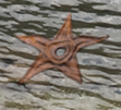 File:Lake barnstar.png