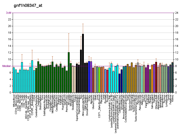 File:PBB GE SSH2 gnf1h08347 at fs.png