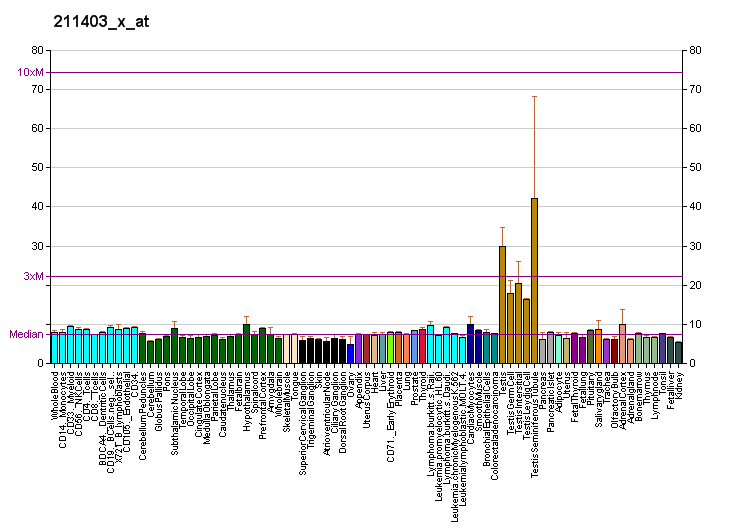 File:PBB GE VCX 211403 x at fs.png