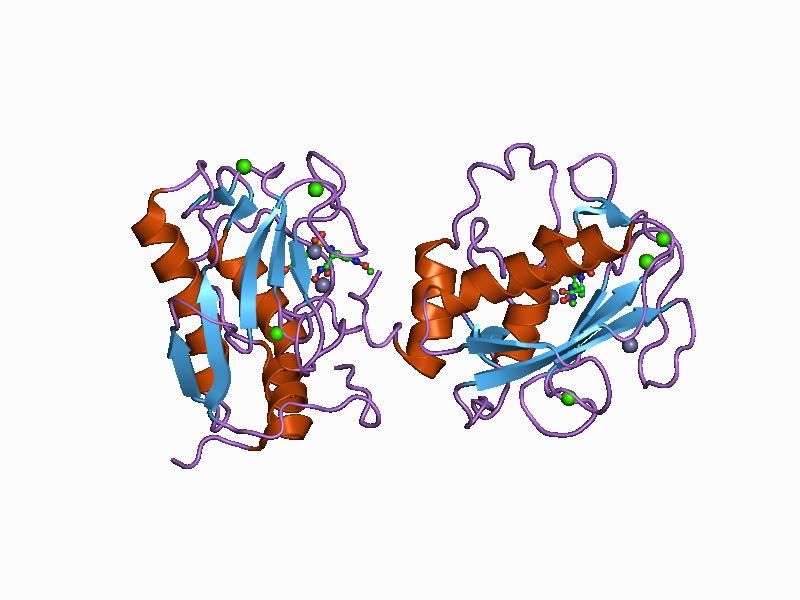 File:PDB 1d7x EBI.jpg