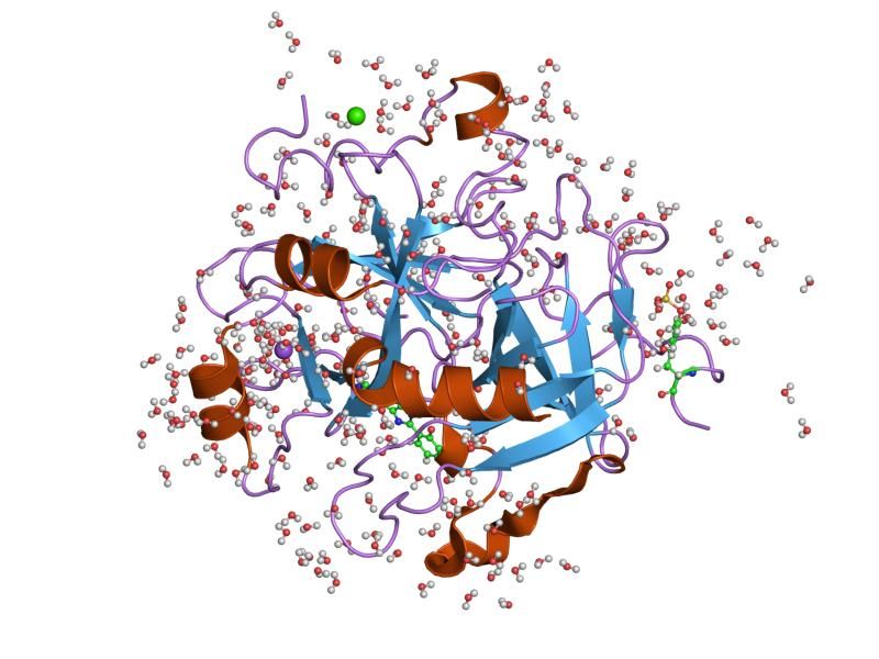 File:PDB 1ghx EBI.jpg