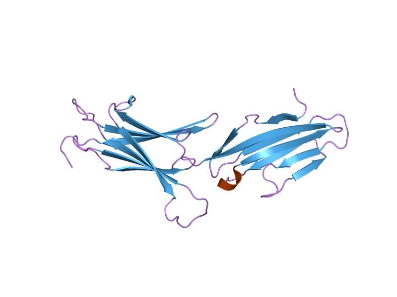 File:PDB 1gsm EBI.jpg