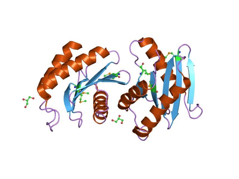 File:PDB 1ifq EBI.jpg