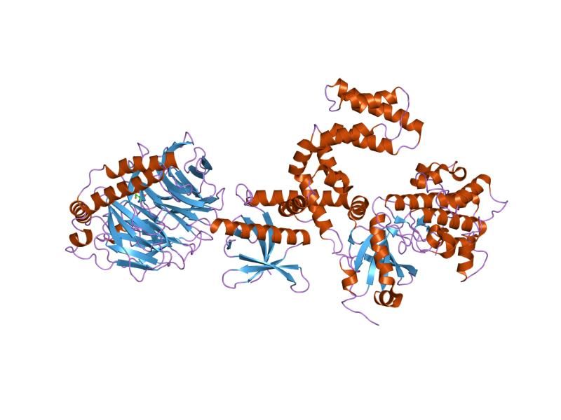 File:PDB 1omw EBI.jpg