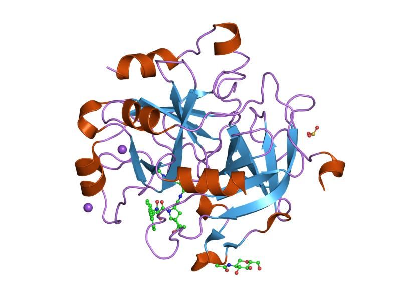 File:PDB 1riw EBI.jpg