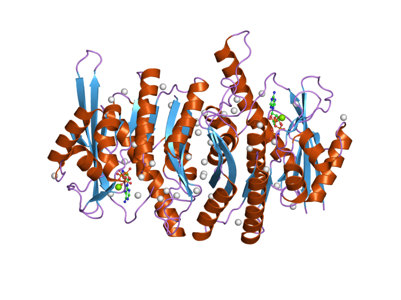 File:PDB 2ajp EBI.png