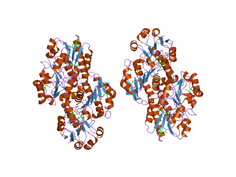 File:PDB 2h1s EBI.png