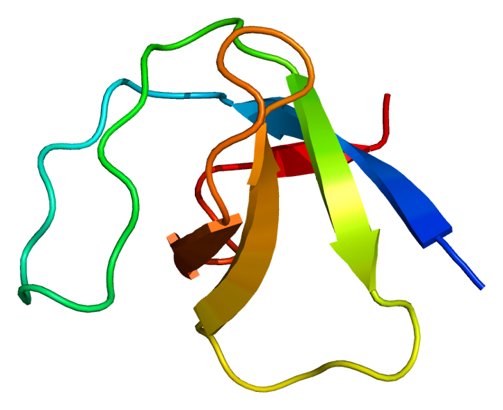 File:Protein YES1 PDB 2hda.png