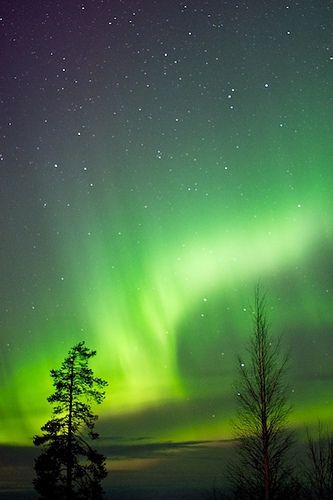 File:Rovaniemi - Aurora Borealis.jpg