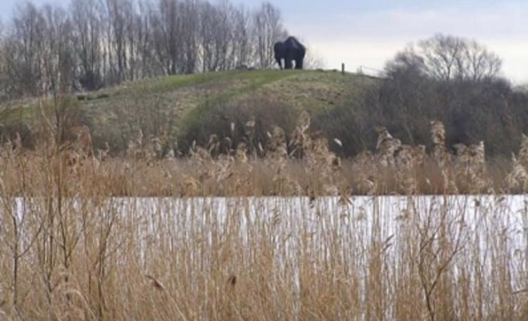 File:The Mammoth, Watermead Park, Rushey Mead, Leicester.jpg