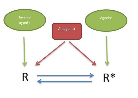 File:Two-state model.jpg