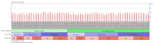 File:Alz TMEM211.png