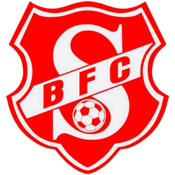 File:BFC Südring Logo.png