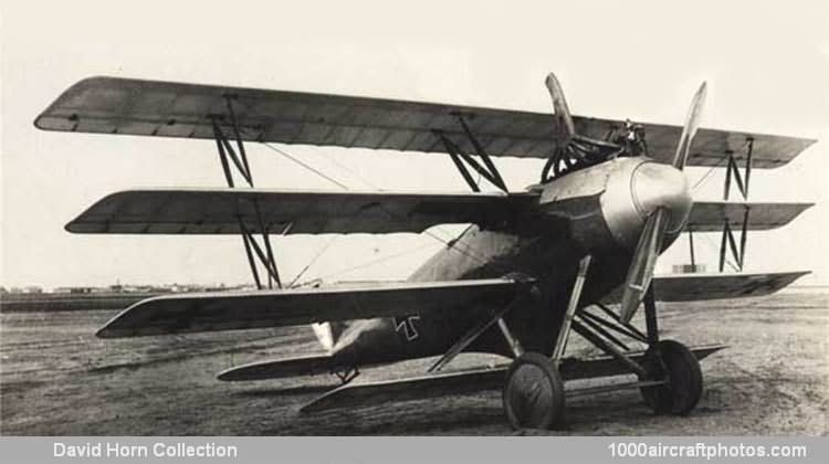 File:Naglo D.II WW1 aircraft.jpg