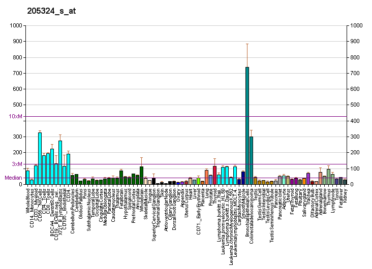 File:PBB GE FTSJ1 205324 s at fs.png