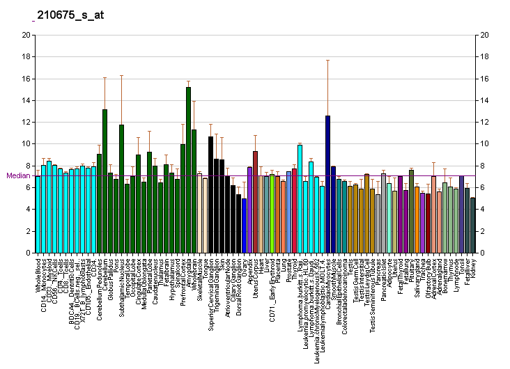 File:PBB GE PTPRR 210675 s at fs.png