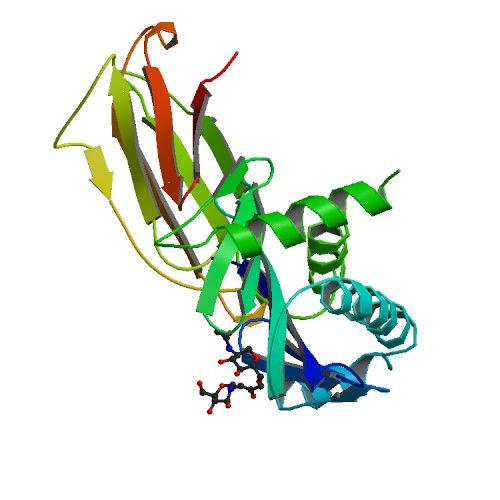 File:PBB Protein MICA image.jpg