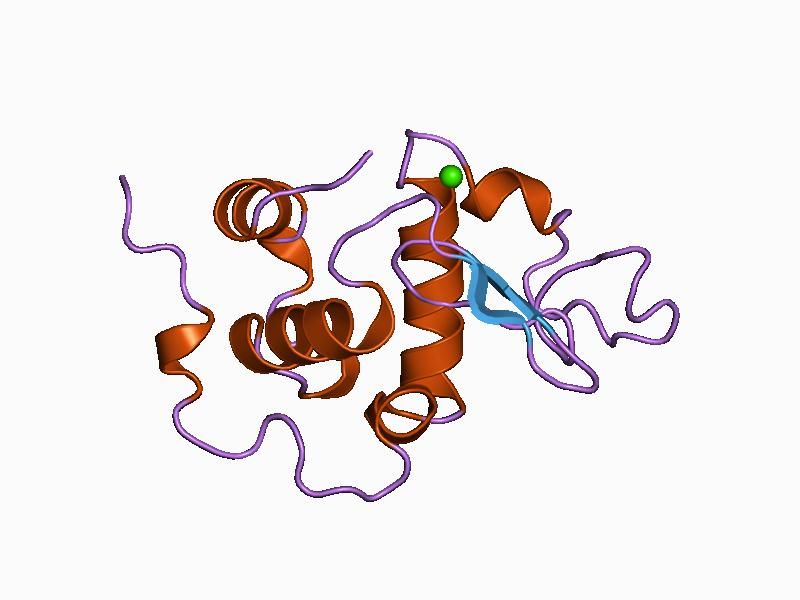 File:PDB 1b9o EBI.jpg