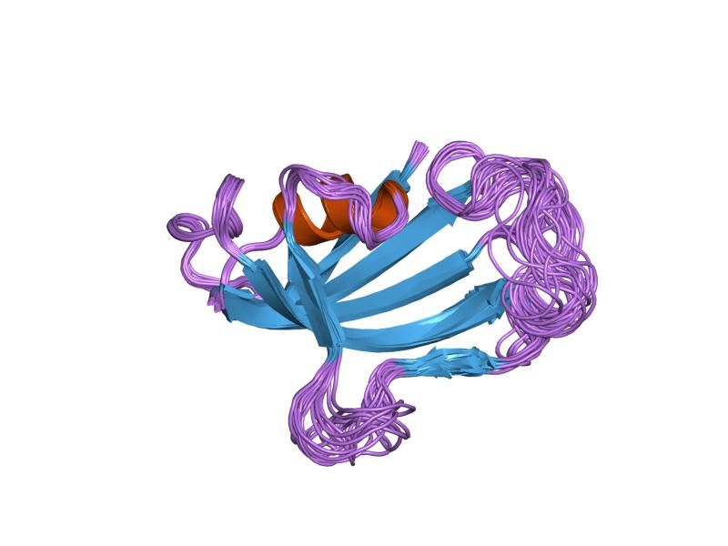 File:PDB 1fkr EBI.jpg