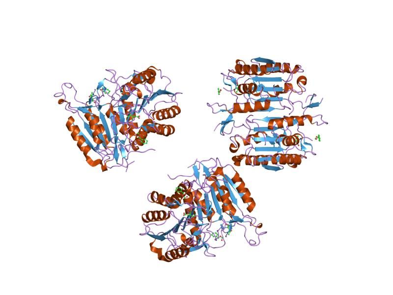 File:PDB 1qdu EBI.jpg